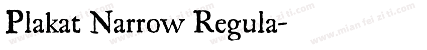 Plakat Narrow Regula字体转换